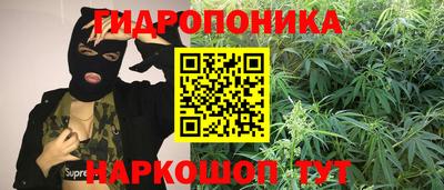 герыч Гатчина