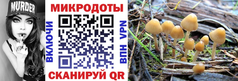 купить наркоту  Ейск  Галлюциногенные грибы мухоморы 