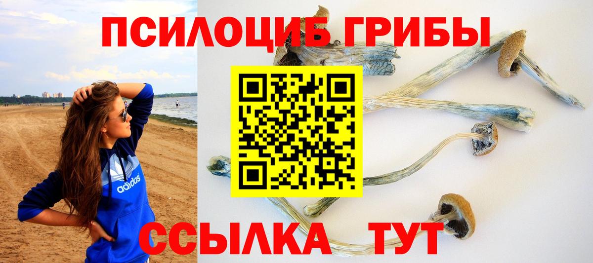 Псилоцибиновые грибы Cubensis Ейск