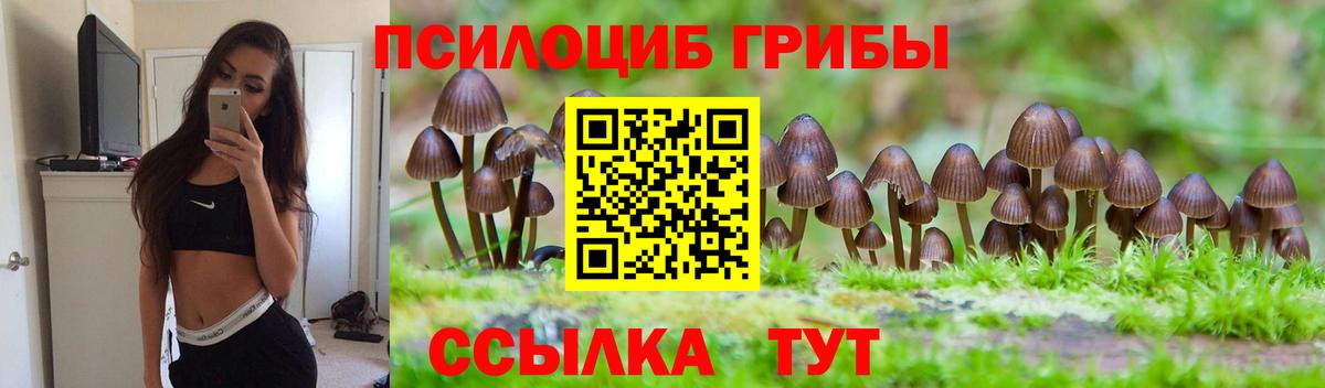 Псилоцибиновые грибы мухоморы Ейск